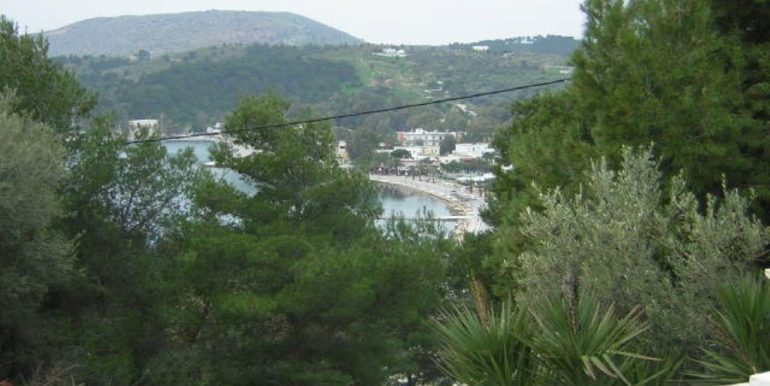 ΧΛΩΡΟΣ ΟΙΚΟΠΕΔΟ ΛΑΚΚΙ 06