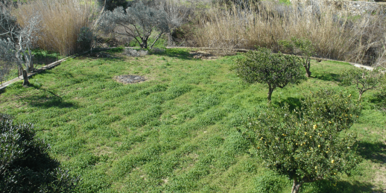 ΒΑΡΝΑΣ ΣΤΑΥΡΟΣ 04 (H219)-min