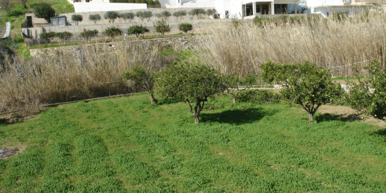 ΒΑΡΝΑΣ ΣΤΑΥΡΟΣ 10 (H219)-min