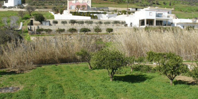 ΒΑΡΝΑΣ ΣΤΑΥΡΟΣ 11 (H219)-min