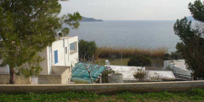 ΚΑΣΤΗΣ ΜΙΧΑΛΗΣ 01 (H220)