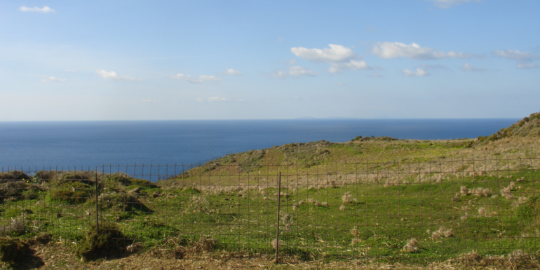 ΣΠΥΡΟΥ ΜΑΡΙΑ 05(P336)