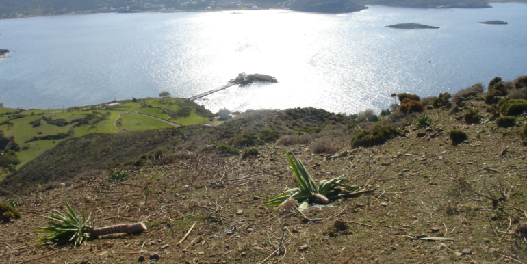 ΣΠΥΡΟΥ ΜΑΡΙΑ 06(P336)