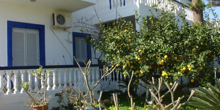 ΒΑΡΝΑΣ ΝΙΚΟΛΑΟΣ ΔΙΑΜΕΡΙΣΜΑΤΑ ΣΤΑ ΑΛΙΝΤΑ 005 (B405)