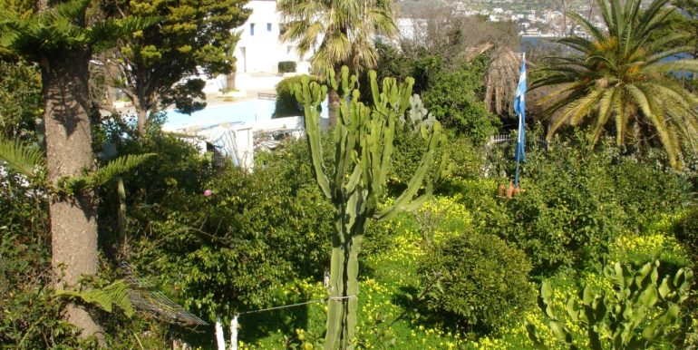 ΒΑΡΝΑΣ ΝΙΚΟΛΑΟΣ ΔΙΑΜΕΡΙΣΜΑΤΑ ΣΤΑ ΑΛΙΝΤΑ 011 (B405)