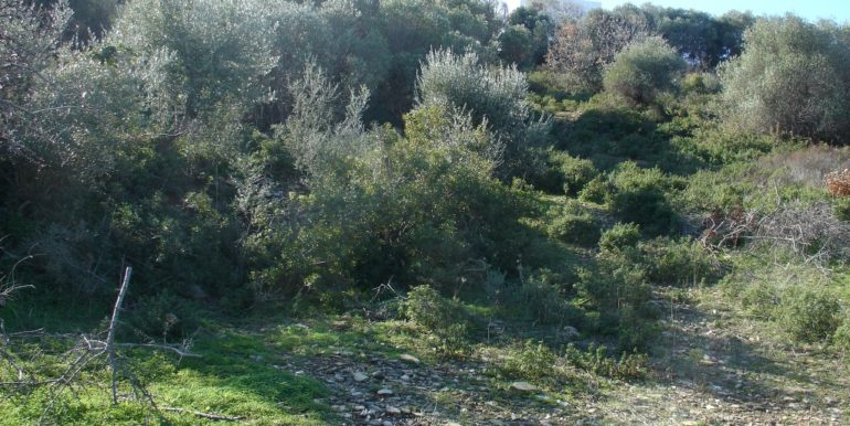 ΝΤΗΠΙΕΡΟΥ ΕΙΡΗΝΗ ΟΙΚΟΠΕΔΟ ΓΟΥΡΝΑ ΠΑΝΩ 01 (P340A)