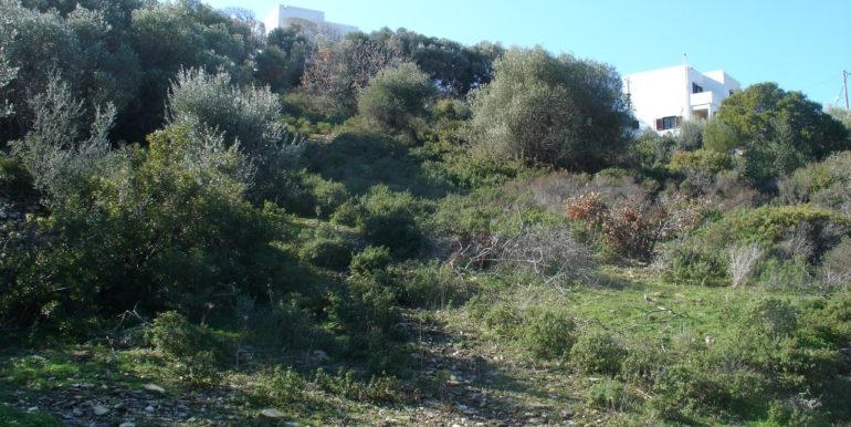 ΝΤΗΠΙΕΡΟΥ ΕΙΡΗΝΗ ΟΙΚΟΠΕΔΟ ΓΟΥΡΝΑ ΠΑΝΩ 02 (P340A)