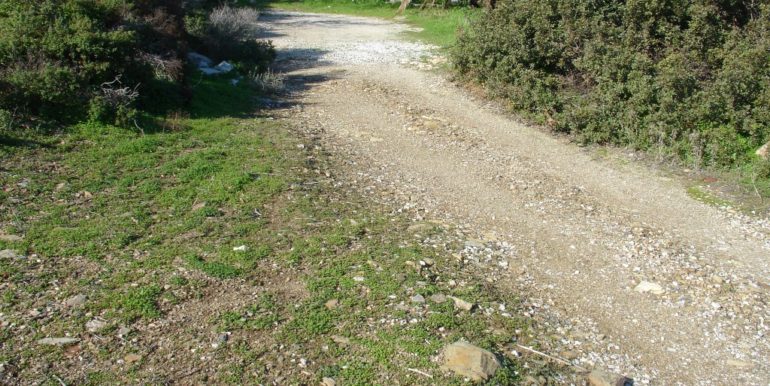 ΝΤΗΠΙΕΡΟΥ ΕΙΡΗΝΗ ΟΙΚΟΠΕΔΟ ΓΟΥΡΝΑ ΠΑΝΩ 03 (P340A)