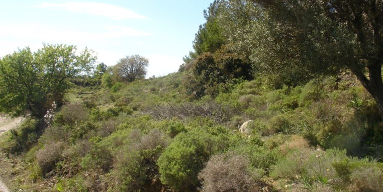 ΣΤΑΜΑΤΙΟΥ ΝΙΚΟΣ ΟΙΚΟΠΕΔΟ ΚΑΜΑΡΑΚΙ 01(P339)