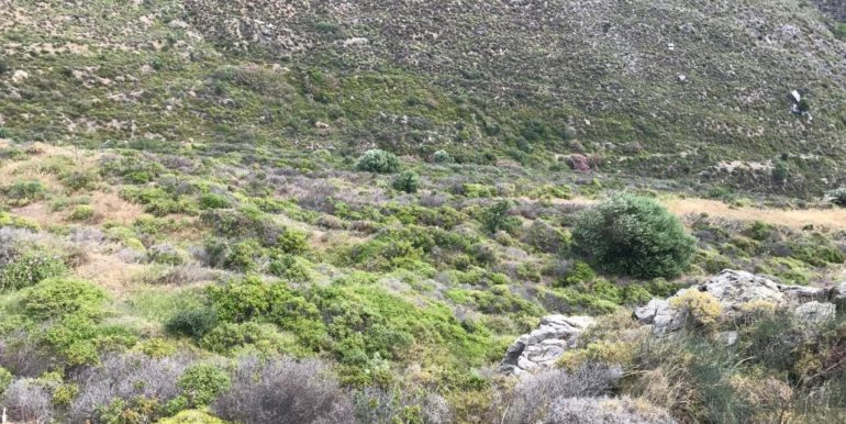 18641123_10212779717198201_439421005_o