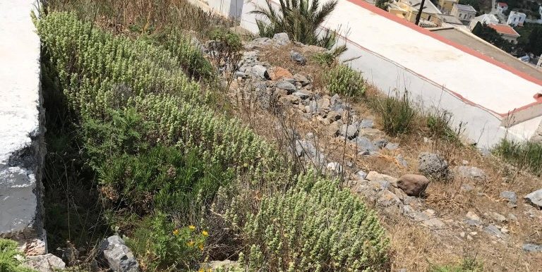 18641351_10212779713198101_190466209_o