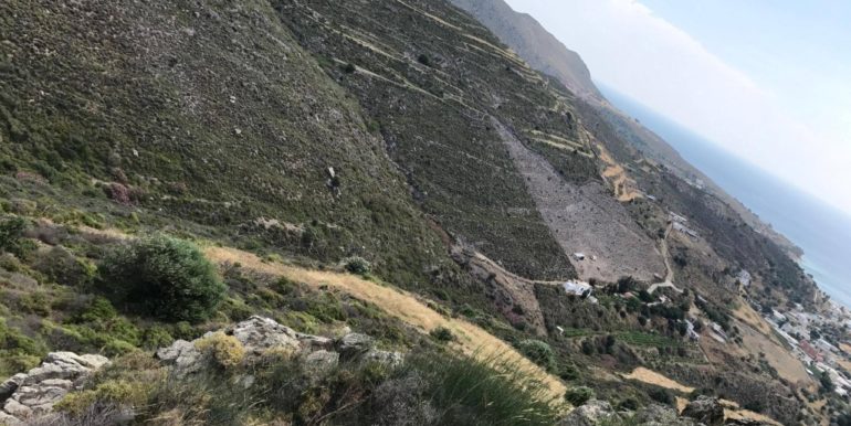 18675302_10212779717798216_925586615_o