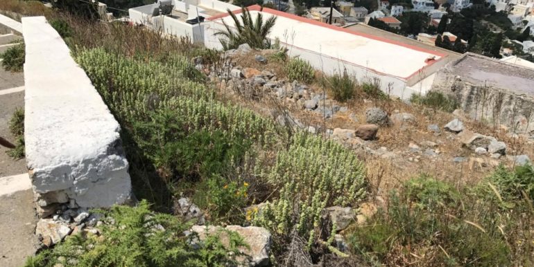 18676341_10212779712718089_1463524441_o