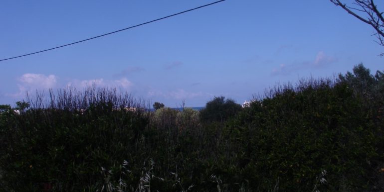 ΜΑΡΑΒΕΛΙΑΣ ΠΑΝΤΕΛΗΣ ΟΙΚΟΠΕΔΟ ΣΤΗΝ ΓΟΥΡΝΑ (P349) 003