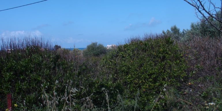 ΜΑΡΑΒΕΛΙΑΣ ΠΑΝΤΕΛΗΣ ΟΙΚΟΠΕΔΟ ΣΤΗΝ ΓΟΥΡΝΑ (P349) 004