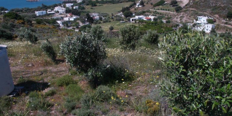 ΣΩΤΗΡΟΠΟΥΛΟΣ ΑΝΔΡΕΑΣ ΟΙΚΟΠΕΔΟ ΚΟΚΑΛΗ (P350) 004