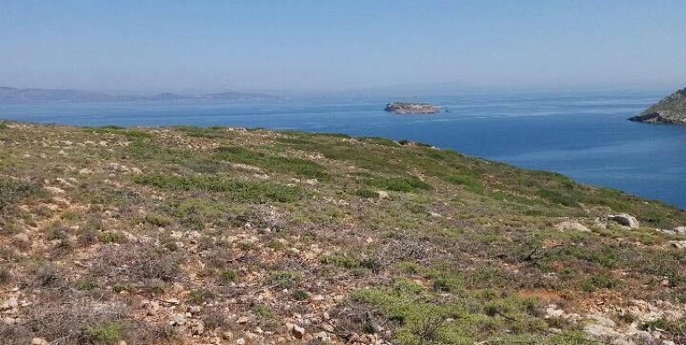 18945354_10212926560789199_927324817_n