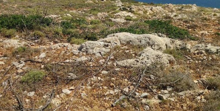 18945419_10212926559629170_1792802762_n