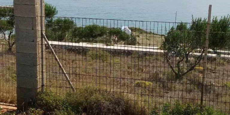 18982952_10212926494827550_1013290593_n