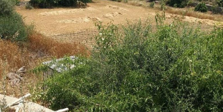 18983193_10212926604310287_1535057362_n