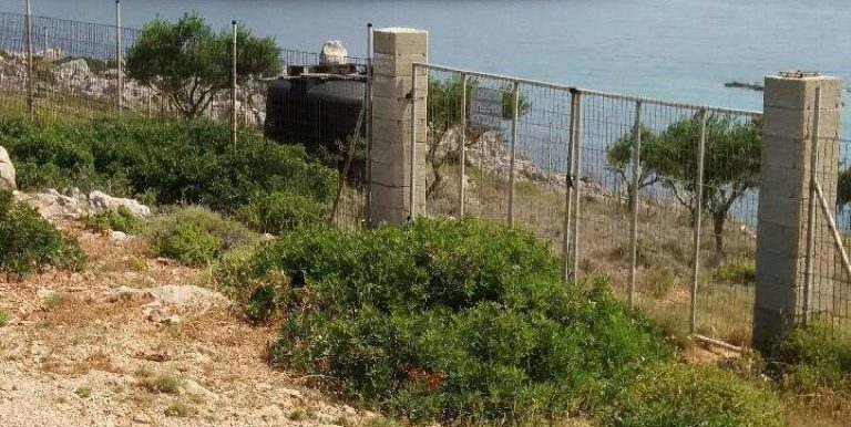 18983249_10212926496547593_1669523374_n