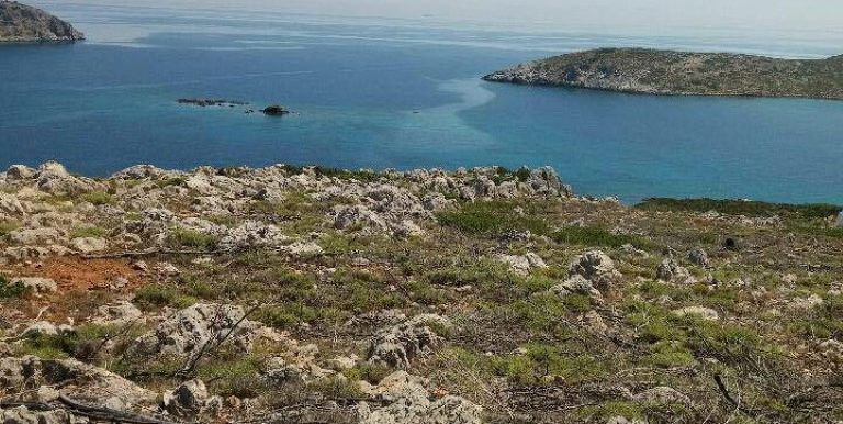 18983253_10212926559909177_991571268_n