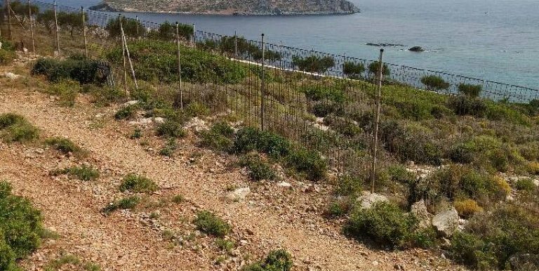 18983287_10212926495747573_1410193493_n