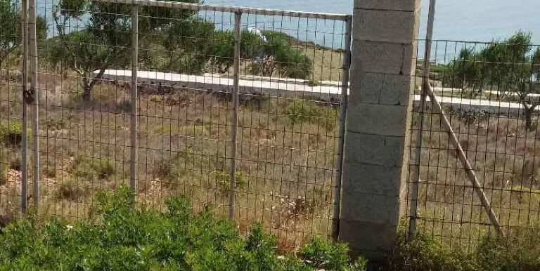 18983337_10212926495027555_130471832_n