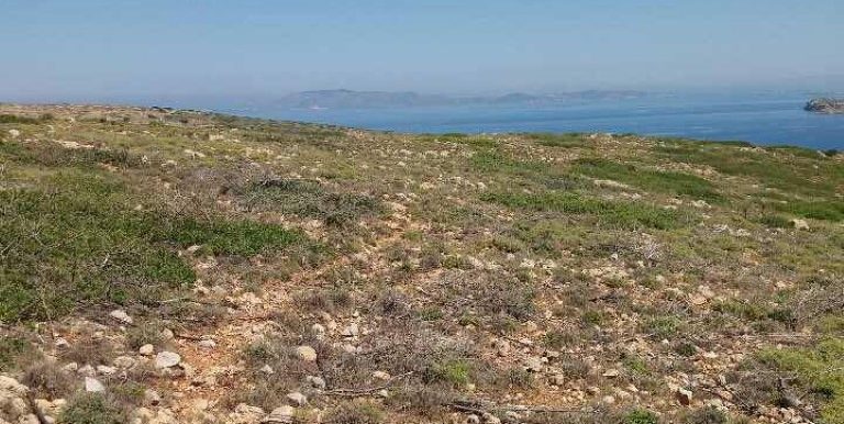 18983399_10212926560709197_1699566385_n