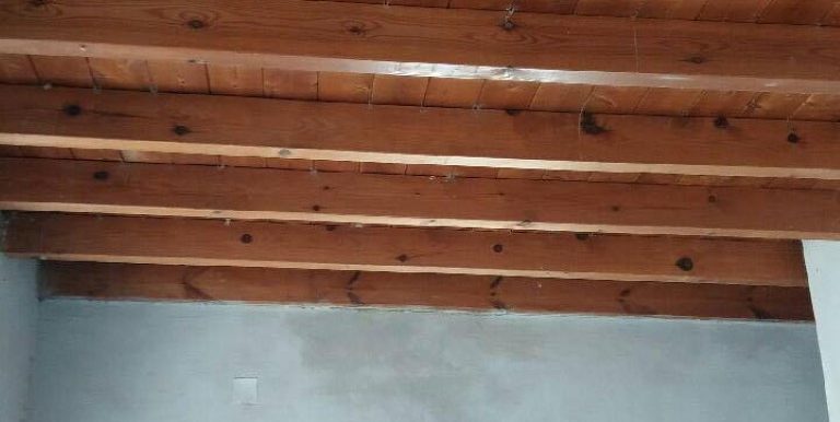 18985080_10212926604590294_508848988_n