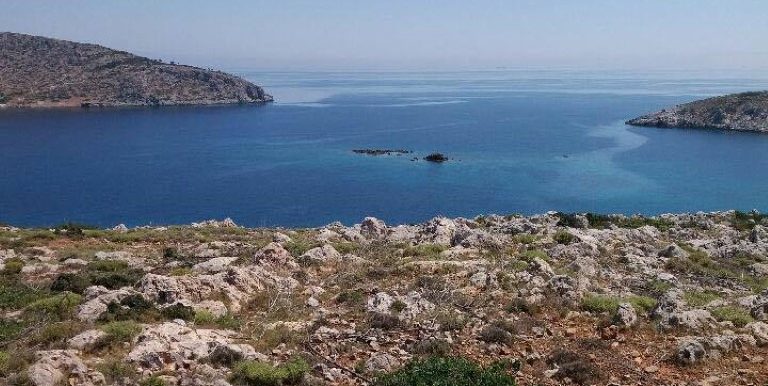 18985083_10212926562109232_1642829804_n