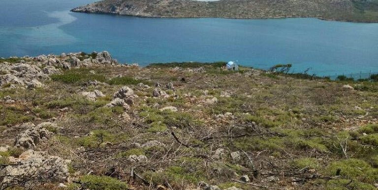 18985206_10212926559469166_1982352847_n