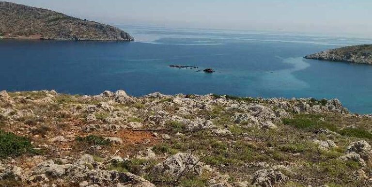 18985306_10212926559749173_289029166_n