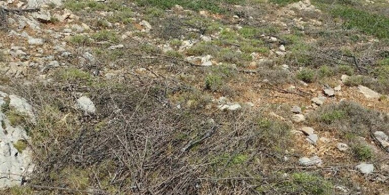 18985326_10212926560389189_758321336_n