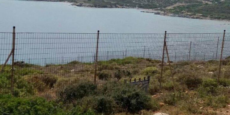 18985405_10212926496827600_1625613301_n