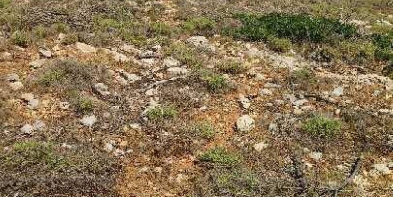 19021357_10212926559589169_752205332_n