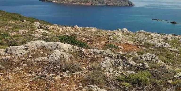 19021622_10212926559309162_1737699747_n