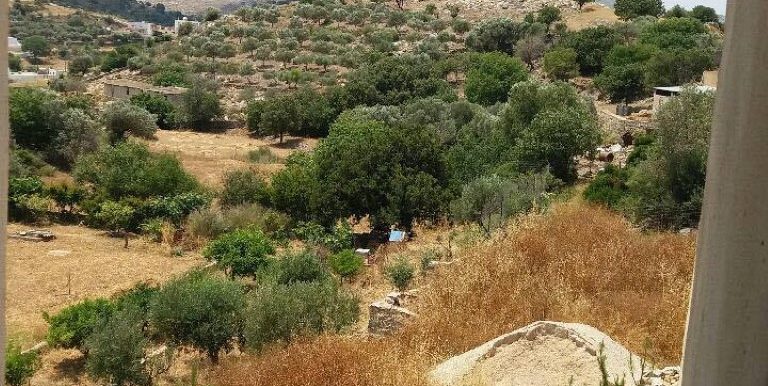 19021777_10212926605030305_1062754380_n