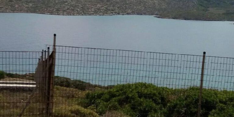 19022138_10212926496787599_93939369_n