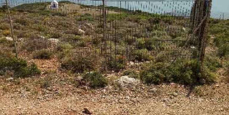 19046641_10212926496307587_641244885_n