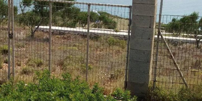 19046691_10212926496907602_447200075_n