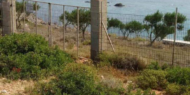 19046694_10212926496667596_1468629275_n