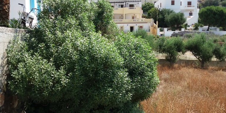 20170616_103642 (Medium)