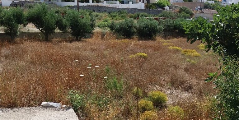 20170616_103651 (Medium)