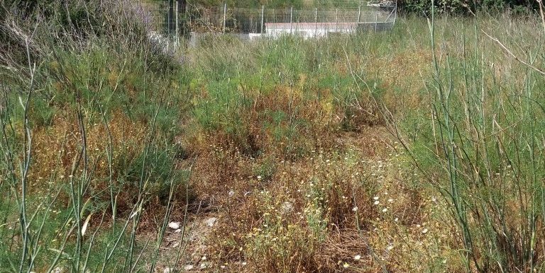 20170616_104336 (Medium)