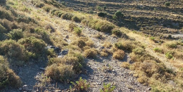 20170711_181512 (Medium)