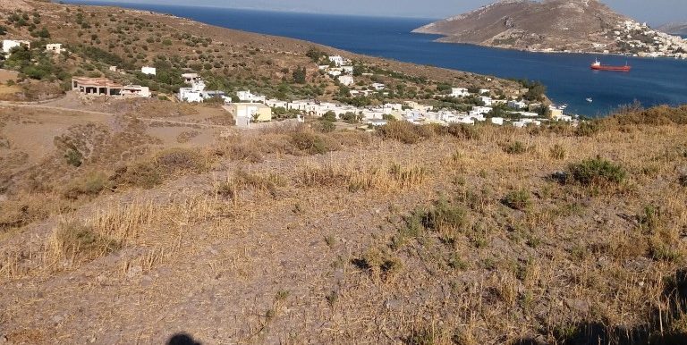 20170711_181518 (Medium)