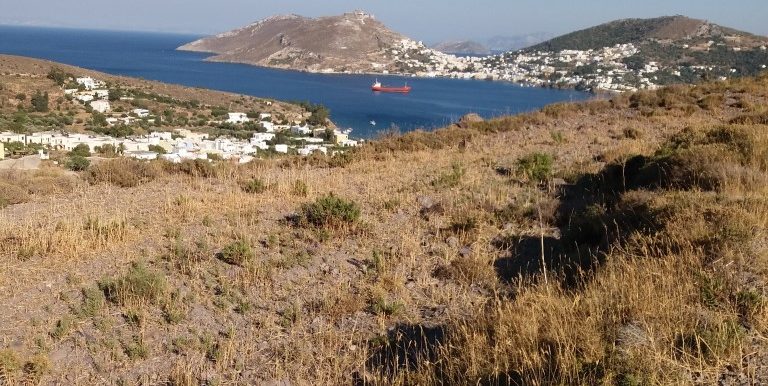 20170711_181523 (Medium)