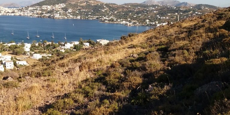 20170711_181623 (Medium)