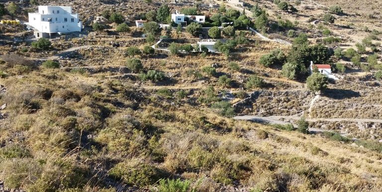 20170711_181633 (Medium)